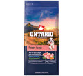 ONTARIO PUPPY AND JUNIOR LARGE CHICKEN and SWEET POTATOES KARMA DLA PSÓW RAS DUŻYCH