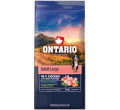 ONTARIO ADULT LARGE CHICKEN and SWEET POTATOES KARMA DLA PSÓW RAS DUŻYCH