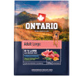 ONTARIO ADULT LARGE LAMB AND BROWN RICE KARMA DLA DOROSŁYCH PSÓW RAS DUŻYCH