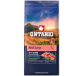 ONTARIO ADULT LARGE LAMB AND BROWN RICE KARMA DLA DOROSŁYCH PSÓW RAS DUŻYCH