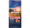 ONTARIO ADULT LARGE BEEF and BROWN RICE KARMA DLA PSÓW RAS DUŻYCH