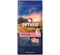 ONTARIO SENIOR LARGE CHICKEN and SWEET POTATOES KARMA DLA PSÓW RAS DUŻYCH