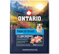 ONTARIO PUPPY and JUNIOR MONOPROTEIN TURKEY and SWEET POTATOES