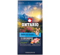 ONTARIO SENIOR MONOPROTEIN TURKEY and SWEET POTATOES