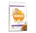 IAMS FOR VITALITY PUPPY LARGE KARMA DLA SZCZENIĄT