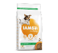 IAMS FOR VITALITY ADULT SMALL / MEDIUM KARMA DLA PSA