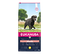 EUKANUBA SENIOR LARGE BREED KARMA DLA PSA