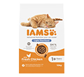 IAMS FOR VITALITY STERILISED KARMA DLA KOTA