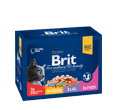 BRIT PREMIUM CAT FAMILY ZESTAW SASZETEK DLA KOTA 12x100 g