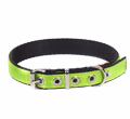 DINGO OBROŻA DLA PSA - ENERGY EXTRA zielona dostępne do wyczerpania zapasów 2,0cm/55cm