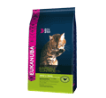 EUKANUBA CAT HAIRBALL CONTROL KARMA DLA KOTA dostępne do wyczerpania zapasów 2 kg