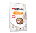 ONTARIO CAT SHORT HAIR KARMA DLA KOTA