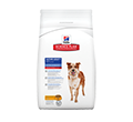 HILLS SCIENCE PLAN CANINE MATURE MEDIUM SUCHA KARMA DLA PSA
