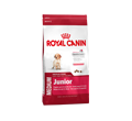 ROYAL CANIN MEDIUM JUNIOR