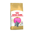 ROYAL CANIN FELINE BREED BRITISH SHORTHAIR KITTEN