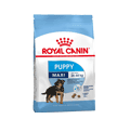 ROYAL CANIN MAXI PUPPY KARMA DLA SZCZENIĄT