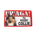 TABLICZKA OSTRZEGAWCZA TU RZĄDZI COLLIE dostępne do wyczerpania zapasów