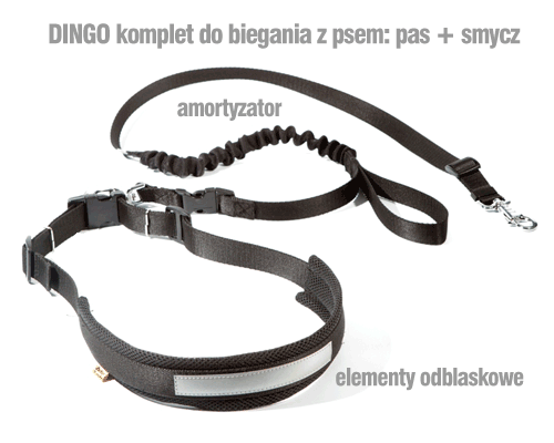 Dingo pas i smycz do biegania z psem